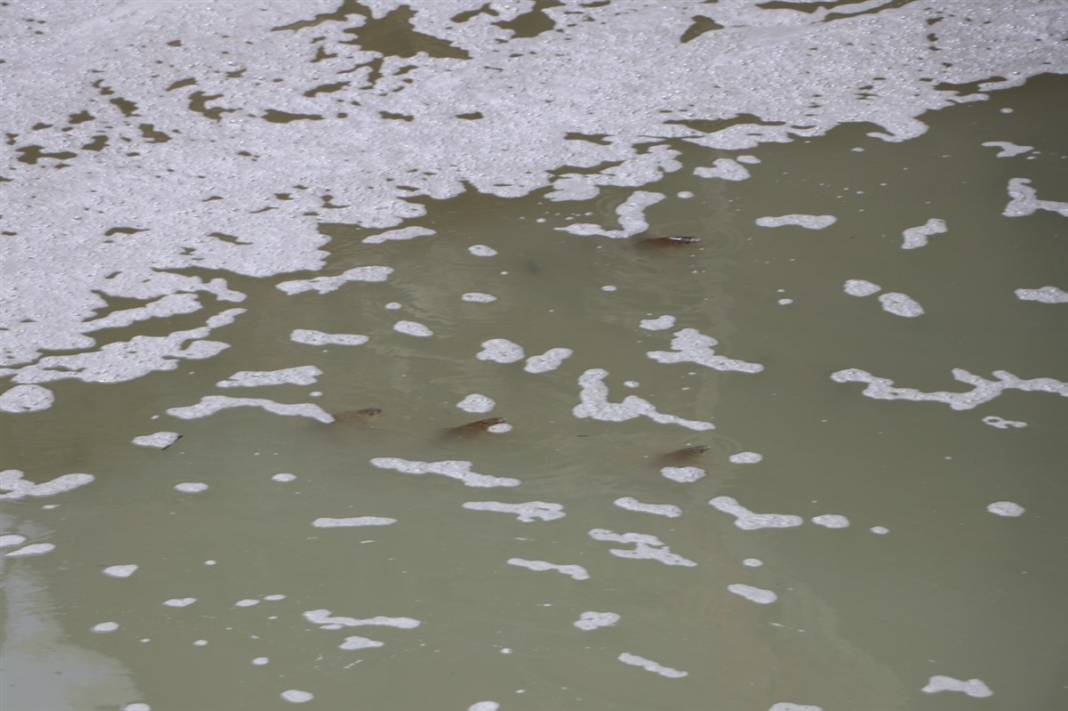 Tedirgin eden ölümler! Buradan tarlalarımızı suluyoruz... 2